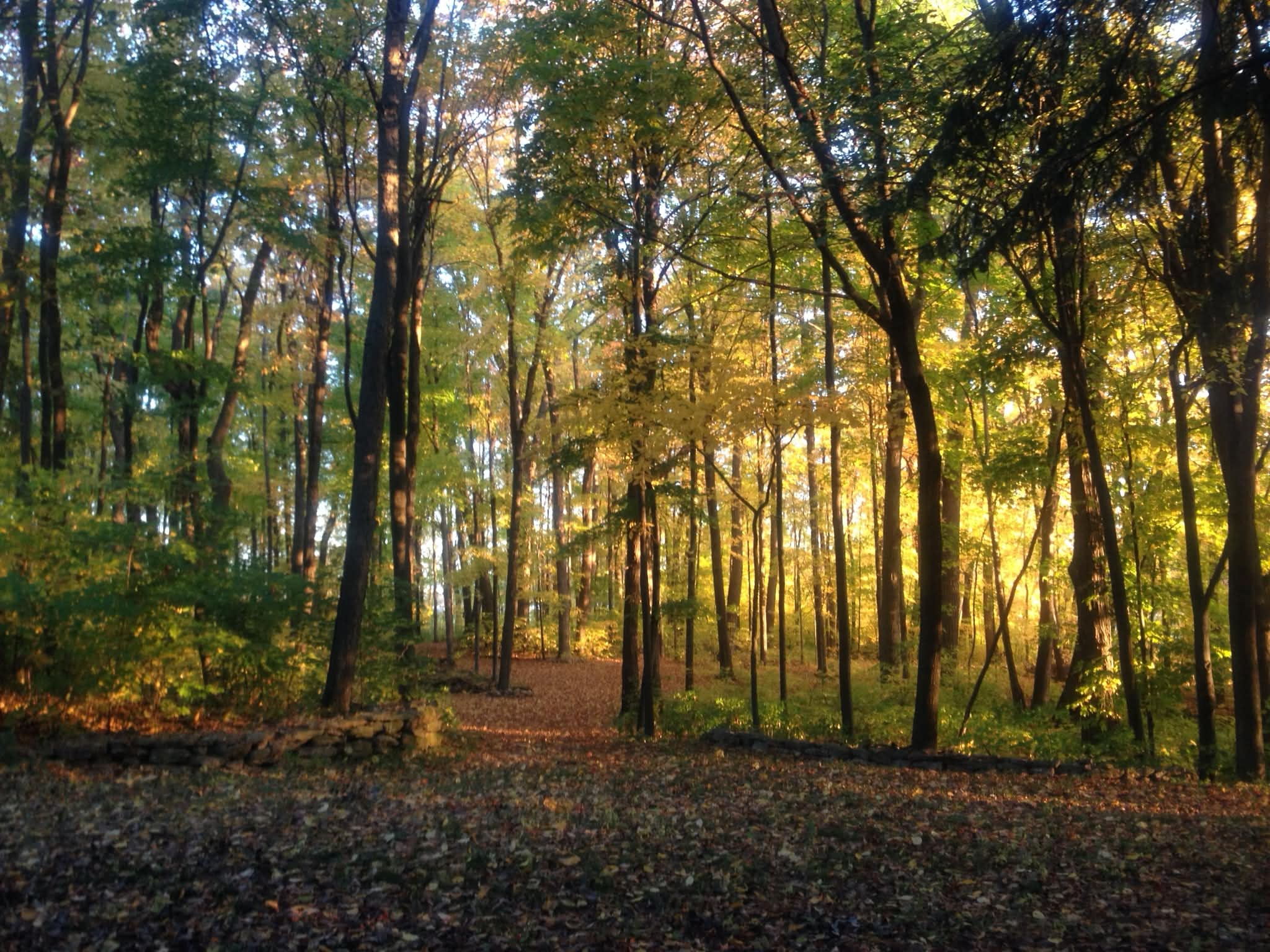 The Whole Property at Goat Creek